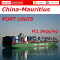 LCL Livraison de Chine à Port Louis (livraison)